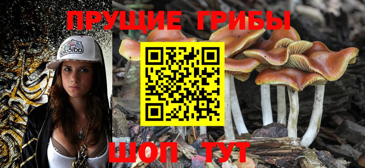 Заинск  Галлюциногенные грибы Magic Shrooms  Вход с VPN 