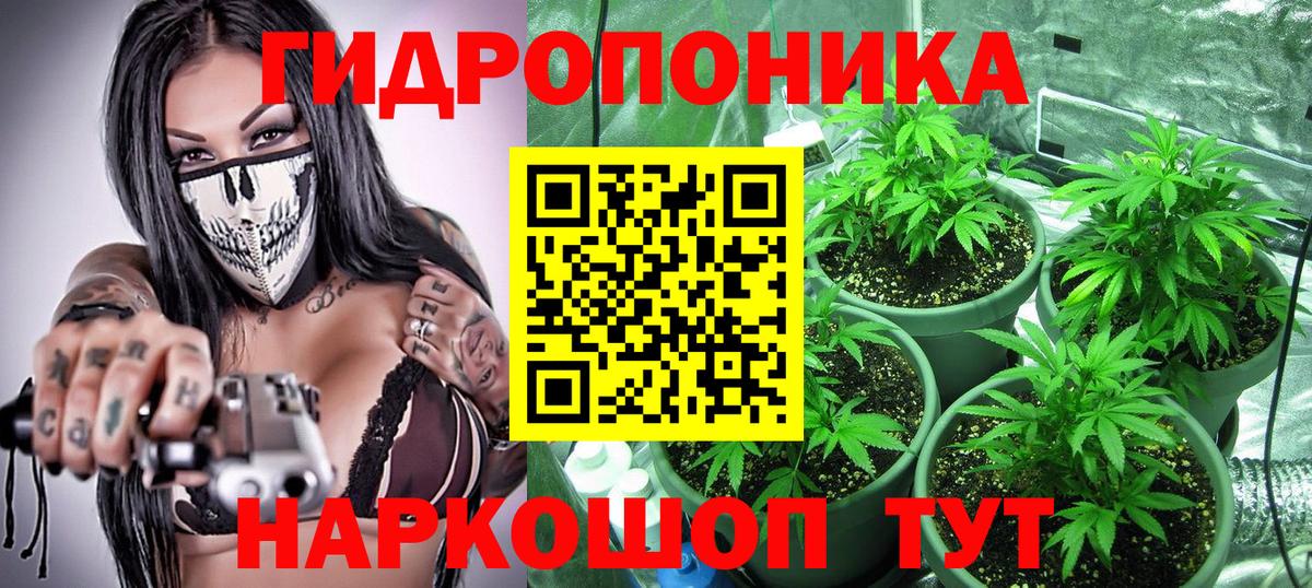 Заинск  Канабис AK-47  Шишки марихуана OG Kush  Марихуана гибрид  Вход с VPN  Канабис индика 